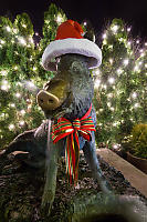 Boar In Christmas Clothes