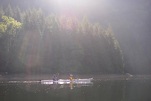 Paddling By In Morning Fog