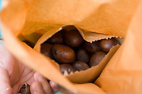 Chestnuts In Hand