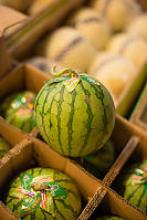 Japanese Style Gift Watermellons Grown In The Us Packaged For China