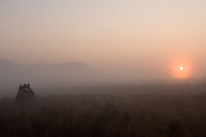 Safari At Sunrise