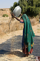 Woman Separating Seeds