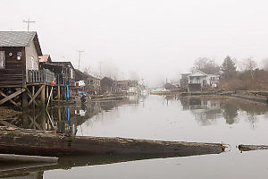 Finn Slough At Water Level