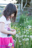 Claira Walking And Dandelions