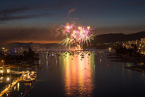 Purple Yellow And Green Fireworks