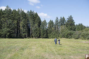 Walk In The Field With Grandpa