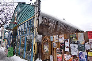 Icicles Off Roof