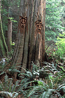 Two Spirits on Two Trees