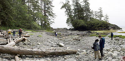 Tom Baird Creek Pano