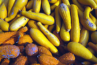 Orange And Yellow Gourds