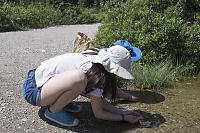 Catching Tadpoles