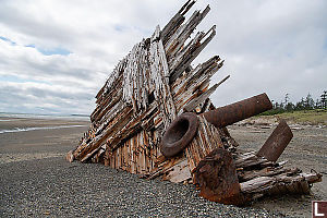 Pezuta Burried In Beach