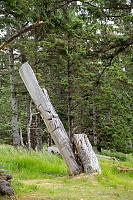 Pole Pushed Over By Tree