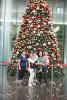 Bountiful Christmas Tree In Hong Kong