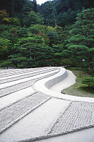 Sea of Silver Sand