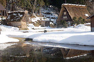 Homes Beside Hillside