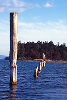 Line Of Exposed Pilings