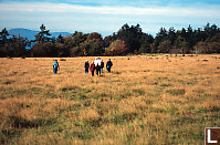 Walking In The Large Field