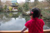 Nara Looking Out Over Reflecting Pond