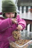 Nara With Packed Bird Feeder