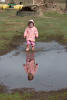 Nara Reflected In Large Puddle