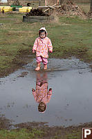 Nara Reflected In Large Puddle