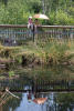 Nara And Jennie Reflected In The Pond