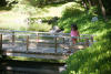 Nara On Bridge To Turtle Island