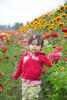 Nara With Sunflowers Behind