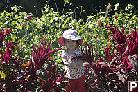 Claira In The Field Of Flowers