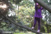 Nara Climbing Tree