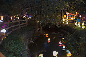 Boat Lanterns On Still Creek