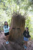 Kids With Grumpy Faced Stump