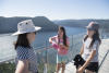 View From Top Of Malahat Skywalk