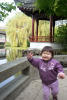 Nara Running By Ting At Dr Sun Yat Sen Garden