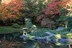 Island With Fall Colours Behind