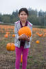 Nara Picked Pumpkin