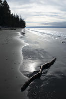 Stick Washed Up On Dark Beach