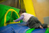 Claira ICrawling Into The Bouncy Castle