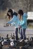 Nara Feeding Ducks
