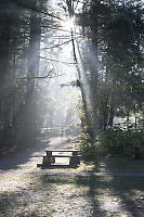 Rays Over Picnic Table