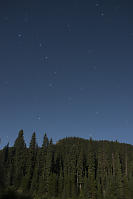 Big Dipper Over The Trees