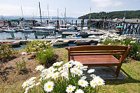Bench With AView Of Marina