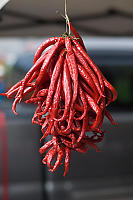 Red Peppers Hanging