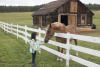 Claira Feeding Apples To Horse