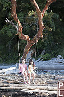Double Swing Over Driftwood