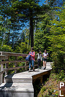 Coming Down Stairs At Hot Springs