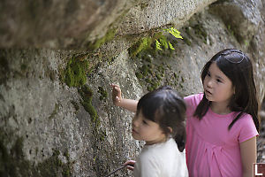 Touching Moss