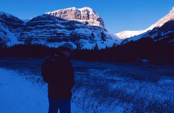 Mark In Alpine Area