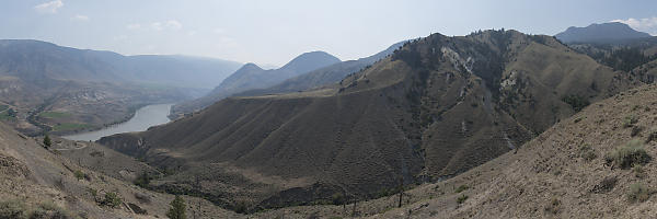 Slopes Meshed With Cow Trails